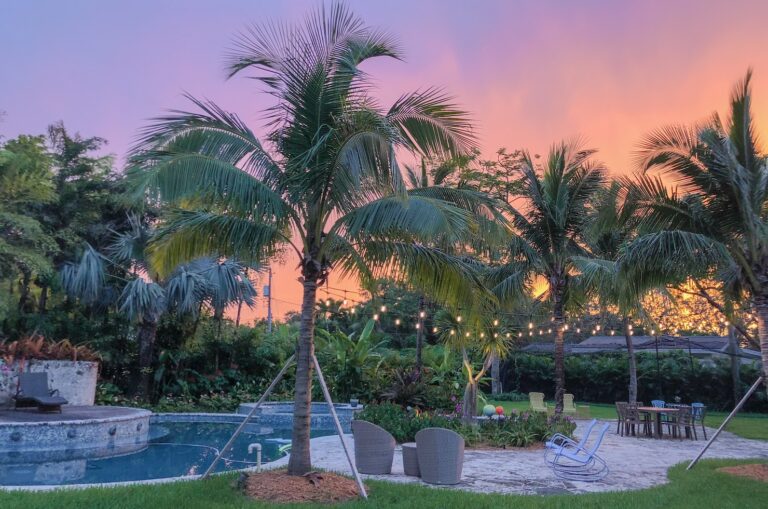 Tropical backyard with palms, lawn and pool area
