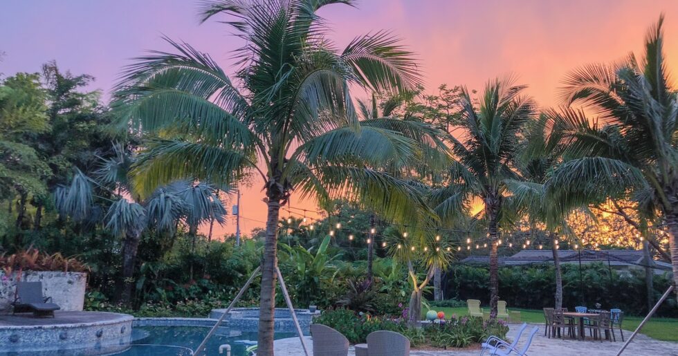Tropical backyard with palms, lawn and pool area