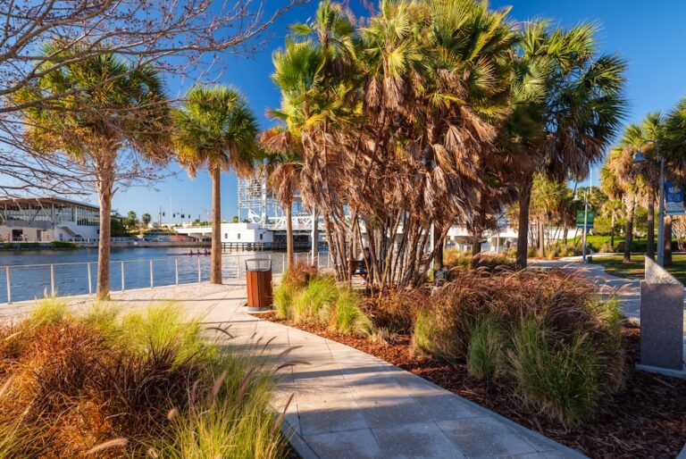 Palm-lined walkway with planted beds at a commercial property