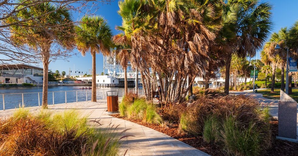 Palm-lined walkway with planted beds
