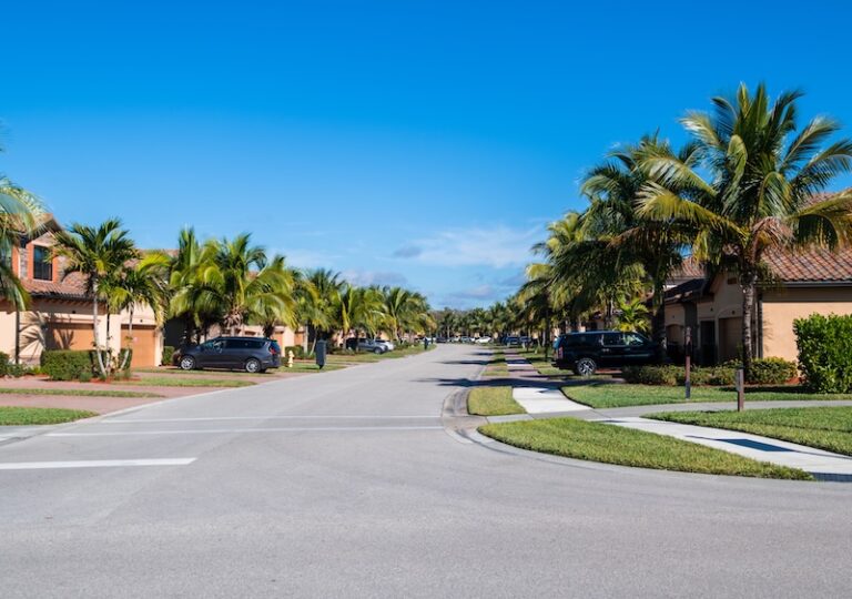 Community street with palms and maintained lawns