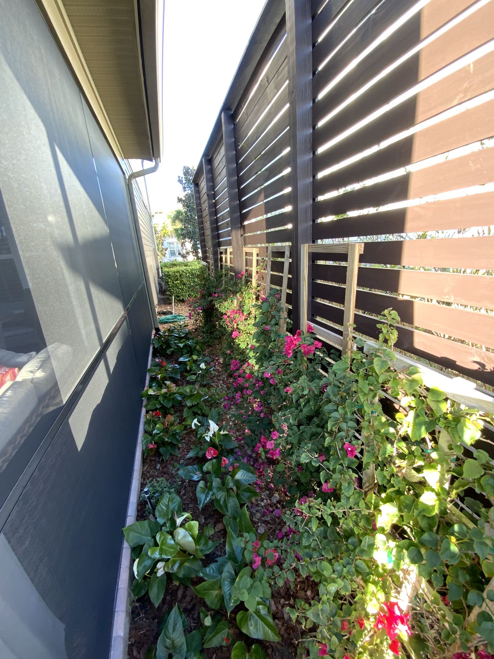 Flowering landscape bed in Orlando FL