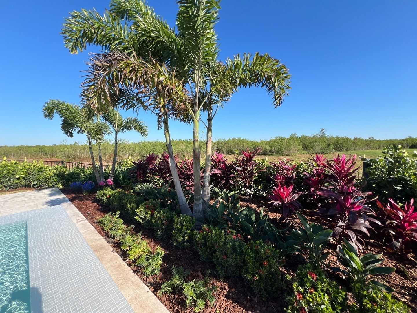 Poolside tropical planting bed in Orlando FL